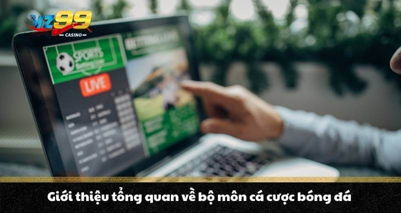 Giới thiệu tổng quan về bộ môn cá cược bóng đá